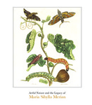 Artful Nature and the Legacy of Maria Sibylla Merian by Emily N. Roush, Shannon R. Zeltmann, Felicia M. Else, Kay Etheridge, and Shannon Egan
