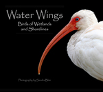 Water Wings: Birds of Wetlands and Shorelines by Sandra K. Blair